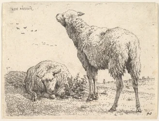 Dos ovejas, una mostrada frontalmente en posición reclinada con las patas dobladas debajo..., ca. 1655