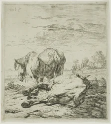 Dos caballos