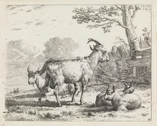 Cuatro cabras