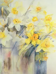 Mezcla de narcisos en un tanque