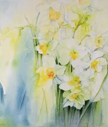 Narcisos y fresias