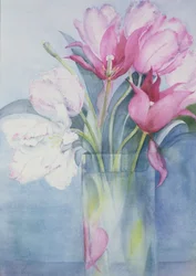 Tulipanes Loro Rosados y Marlette