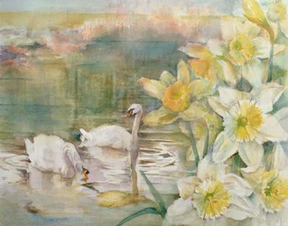 Cisnes en Hurst