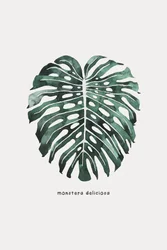 Hoja de monstera en acuarela