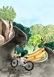 Ciclismo de montaña por paisajes pintorescos
