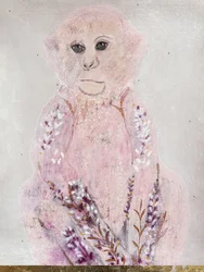 Pink Monkey Lavanda