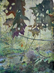 Arroyo del bosque en otoño