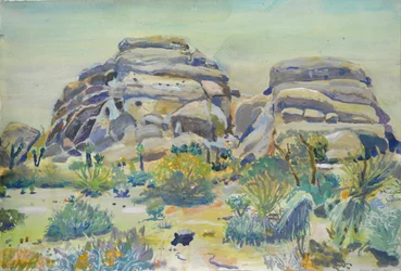 Paisaje de Joshua Tree
