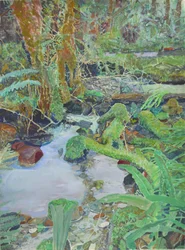 Arroyo del bosque cubierto de musgo