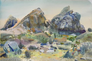 Rocas del desierto del suroeste