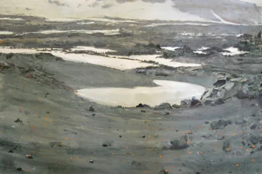 Paisaje de la tundra desolada