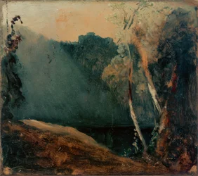 Bosque y lago