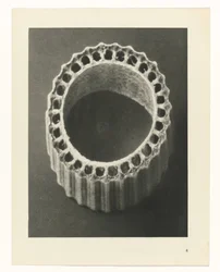Estudios de plantas Arquetipos del arte: imágenes fotográficas de plantas (título de la serie)