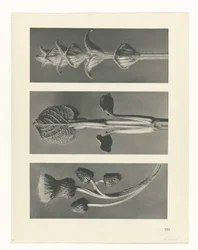 estudio de planos Arquetipos del arte (título de la serie)