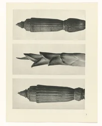 estudio de planos Arquetipos del arte (título de la serie)