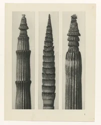 estudio de planos Arquetipos del arte (título de la serie)