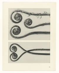 estudio de planos Arquetipos del arte (título de la serie)