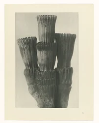 estudio de planos Arquetipos del arte (título de la serie)