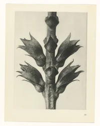 estudio de planos Arquetipos del arte (título de la serie)
