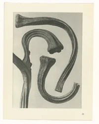 estudio de planos Arquetipos del arte (título de la serie)