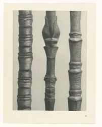 estudio de planos Arquetipos del arte (título de la serie)