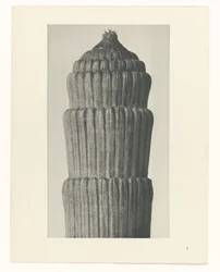 Plan de estudio, Equisetum hiemale Arquetipos del arte (título de la serie)