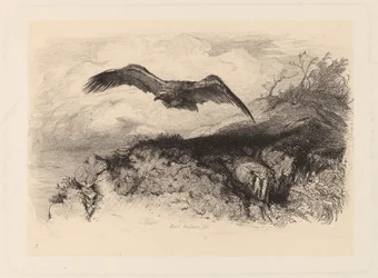 Águila en vuelo