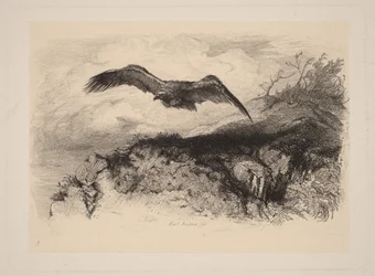 Águila en vuelo