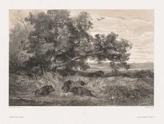 Animales y paisaje según la naturaleza: Jabalí en un estanque, c. 1850