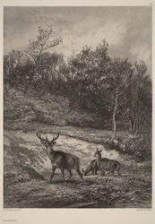 A orillas del agua