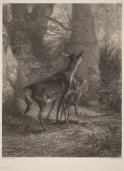 Cierva y cervatillo
