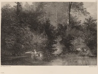 Patos