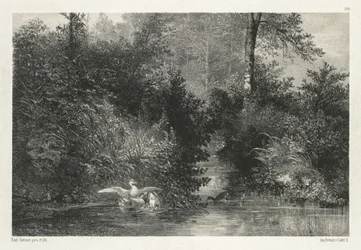Patos