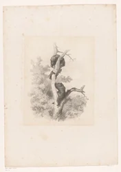 Tres osos en un árbol Paisajes con animales (título de serie)