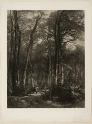 En el bosque