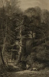 Interior del bosque