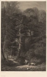 Interior del bosque