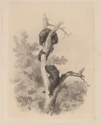 Los Osos