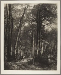 Hombre en el bosque