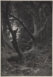 Dos osos en el bosque