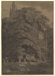 Iglesia gótica oculta por un árbol