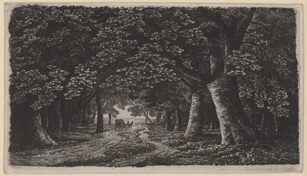 Camino forestal con un carruaje