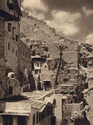 Mar Saba, Palma de San Sabas (foto b/n)