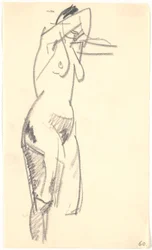 Modelo de pie