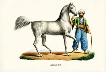 Caballo árabe (1824)