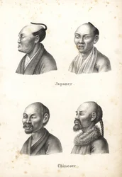 Bustos de hombres japoneses con peinado chonmage y hombres chinos con barba, uno de ellos con coleta. Litografía de Karl Joseph Brodtmann de la Historia natural ilustrada de hombres y animales de Heinrich Rudolf Schinz.