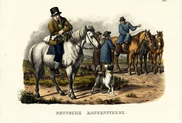 Caballos de granja alemanes, 1824
