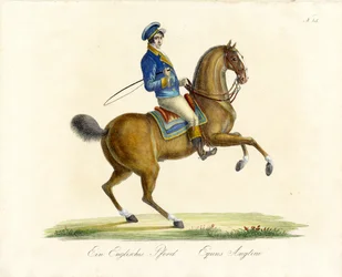 El caballo inglés (impresión)