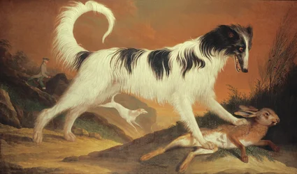 Perro y liebre