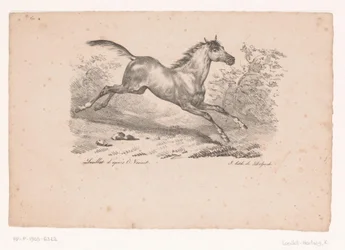 Caballo al galope en un paisaje
Caballos y jinetes (título de la serie)